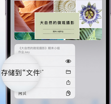 莱山apple维修中心分享iPhone文件应用中存储和找到下载文件