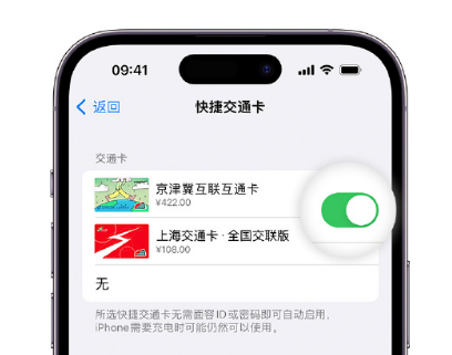 莱山apple维修点分享iPhone上更换Apple Pay快捷交通卡手绘卡面 