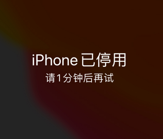 莱山苹果手机维修分享:iPhone 显示“不可用”或“已停用”怎么办？还能保留数据吗？ 