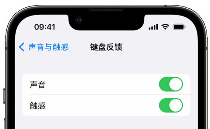 莱山苹果手机维修分享iPhone 14触感键盘使用方法 