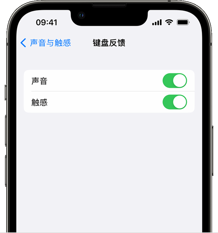 莱山苹果14维修店分享如何在 iPhone 14 机型中使用触感键盘 