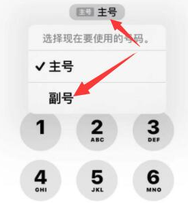 莱山苹果14维修店分享iPhone 14 Pro Max使用副卡打电话的方法 