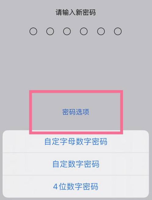 莱山苹果14维修分享iPhone 14plus设置密码的方法 