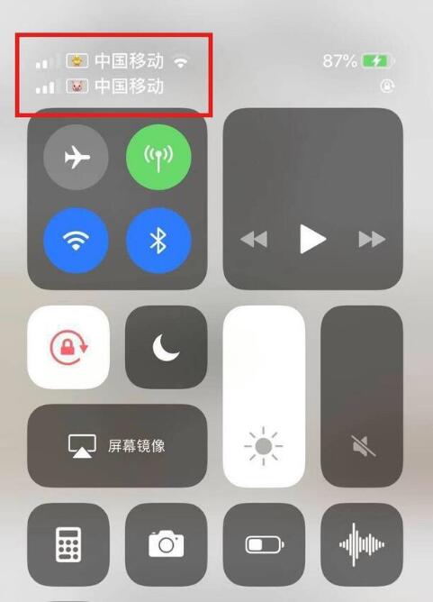 莱山苹果手机维修分享为 iPhone 12 双卡设置标签 